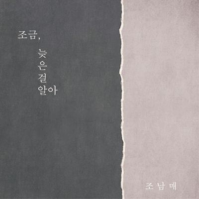 조금 늦은 걸 알아 (feat. 진삼)'s cover