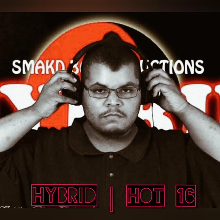 Hybrid's avatar image