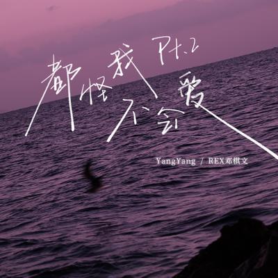 都怪我不会爱 (Pt.2)'s cover