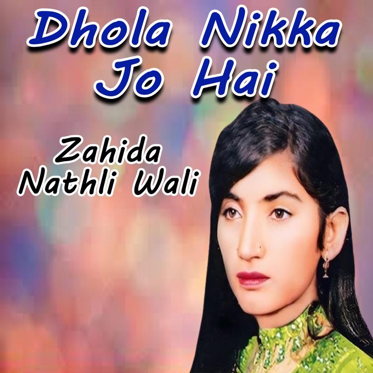 Zahida Nathli Wali's avatar image