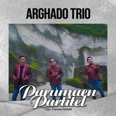 Parumaen Partitel By Arghado Trio's cover