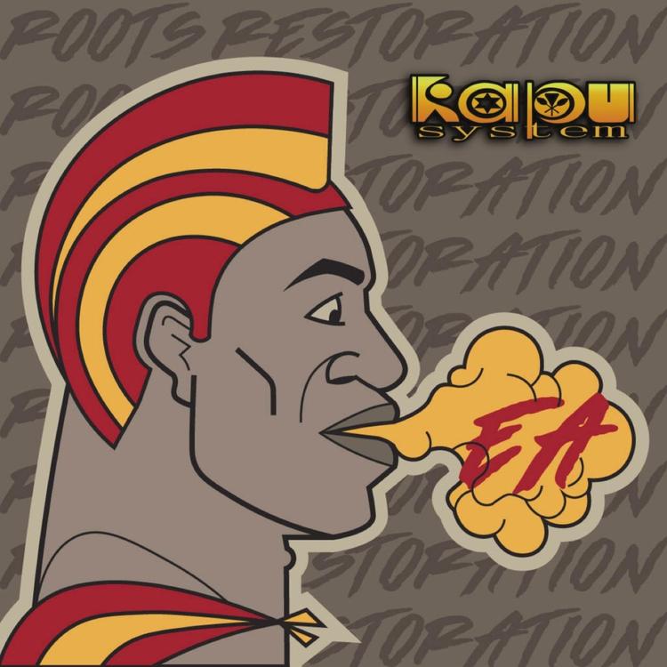 Kapu System's avatar image