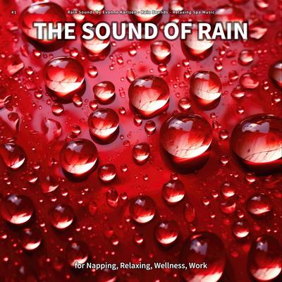 #1 The Sound of Rain for Napping, Relaxing, Wellness, Work's cover