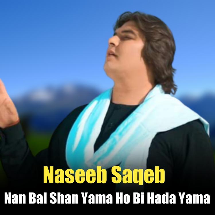 Naseeb Saqeb's avatar image