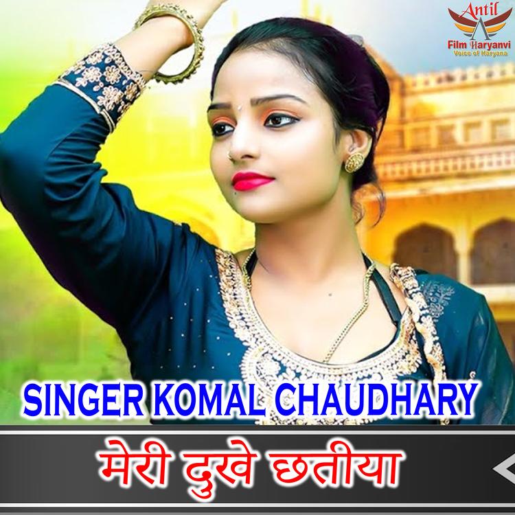 komal chaudhary mevati's avatar image