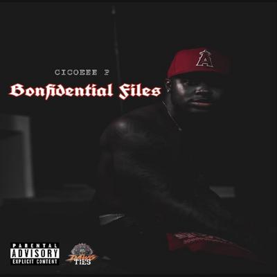 Bonfidential Files's cover