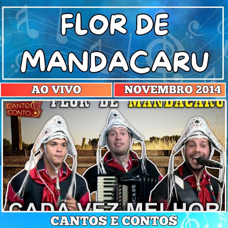 Flor de Mandacaru's avatar image