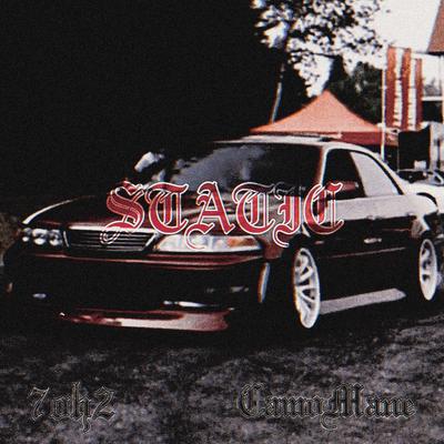 STATIC By 7oh2, camo mane's cover