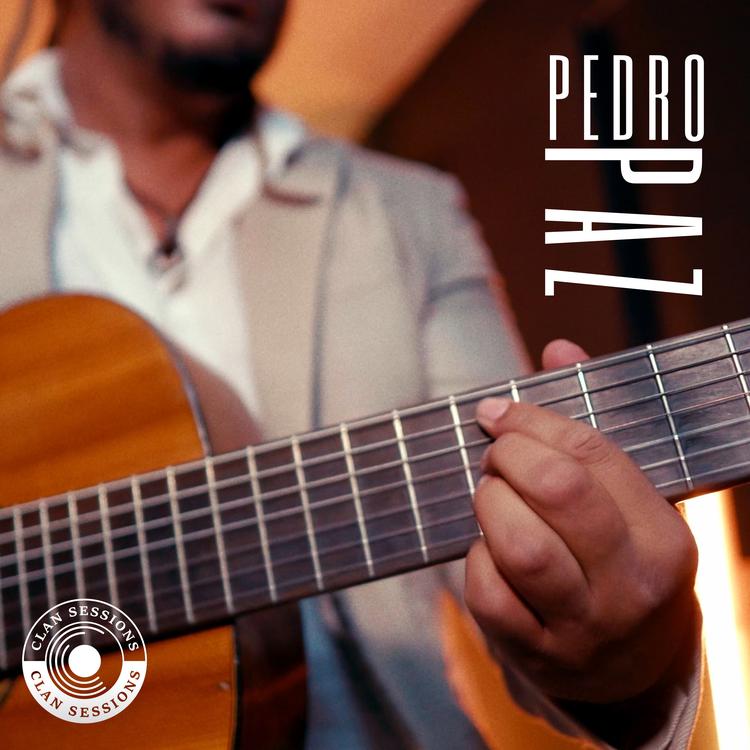 Pedro Paz's avatar image