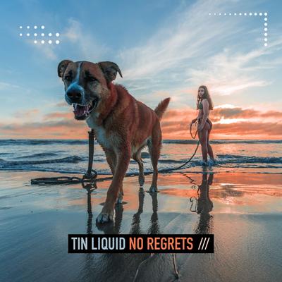 No Regrets By Tin Liquid's cover