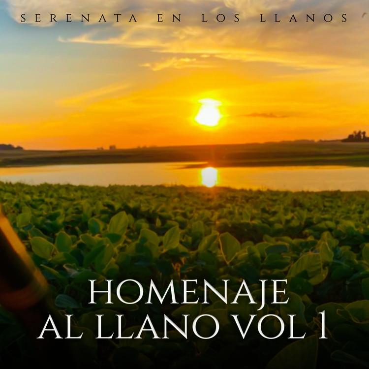 Serenata En Los Llanos's avatar image
