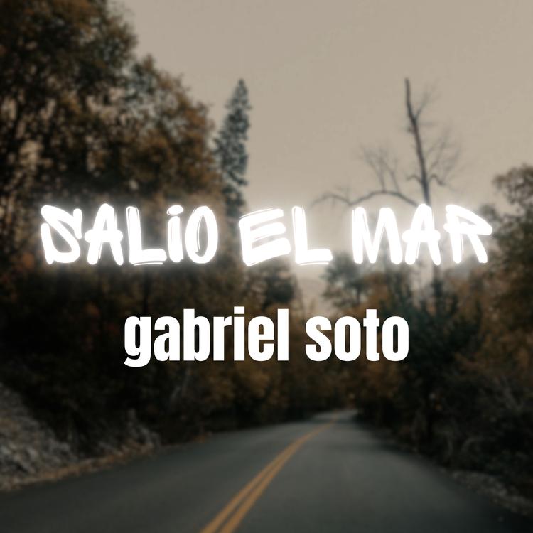 Gabriel Soto's avatar image