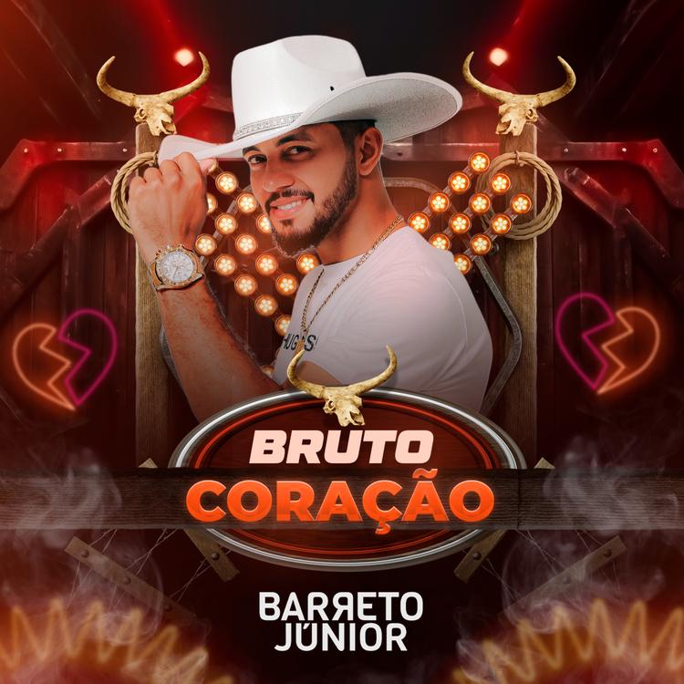 Barreto Júnior's avatar image
