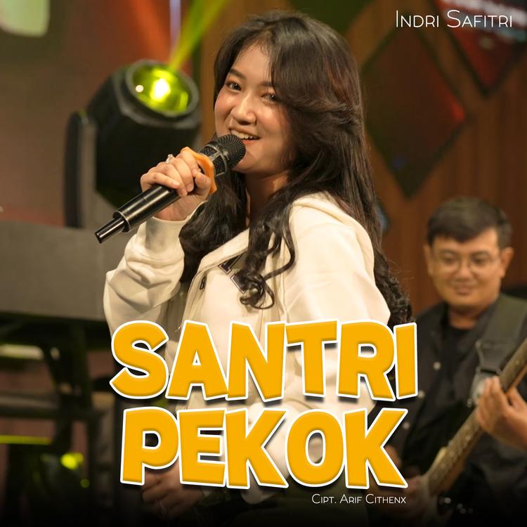 Indri Safitri's avatar image