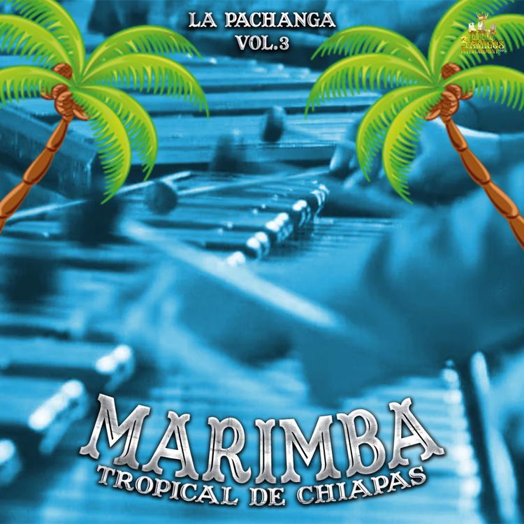 Marimba Tropical De Chiapas's avatar image