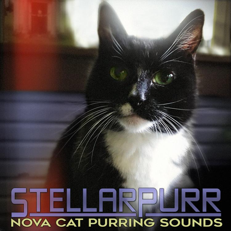 Nova Cat Purring Sounds's avatar image