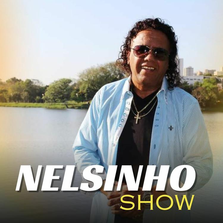 Nelsinho Show's avatar image