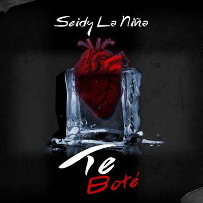 Te Boté By Seidy La Niña's cover