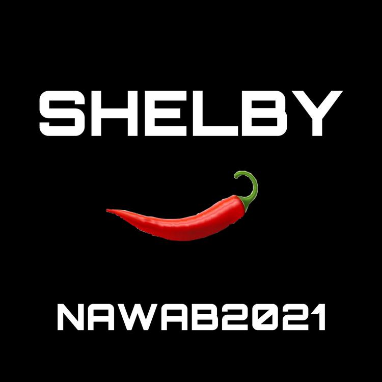 NAWAB2021's avatar image