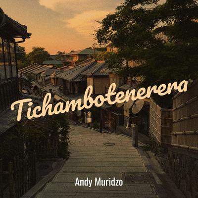 Tichambotenerera's cover