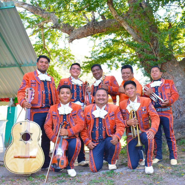 Gabriel Ortega y su mariachi juvenil los Gavilanes's avatar image