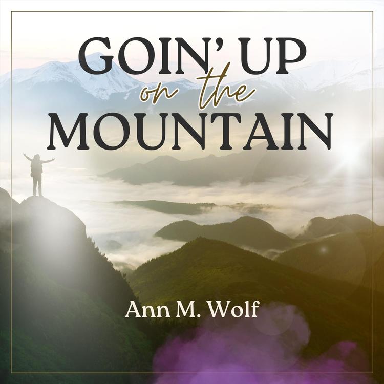 Ann M. Wolf's avatar image