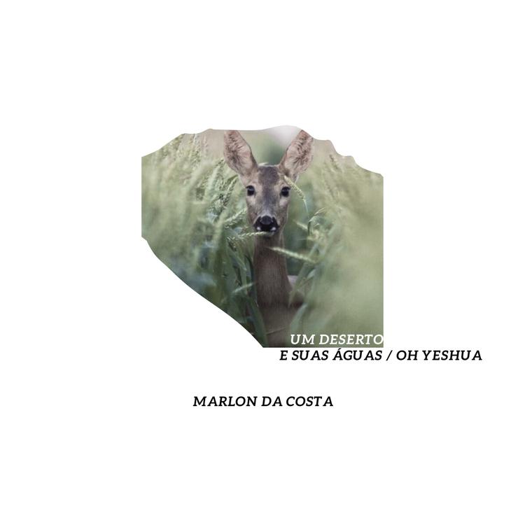 Marlon Da Costa's avatar image