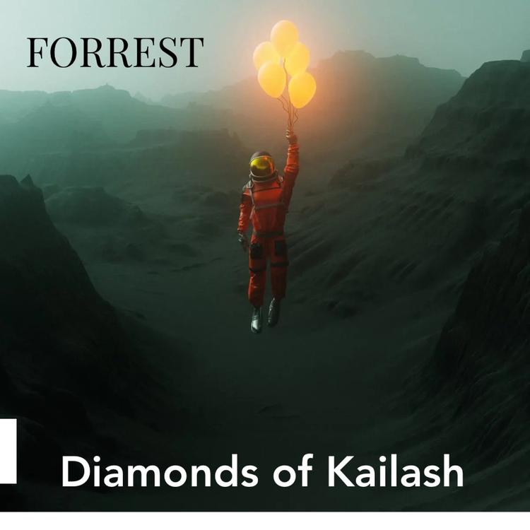 Diamonds Of Kailash's avatar image