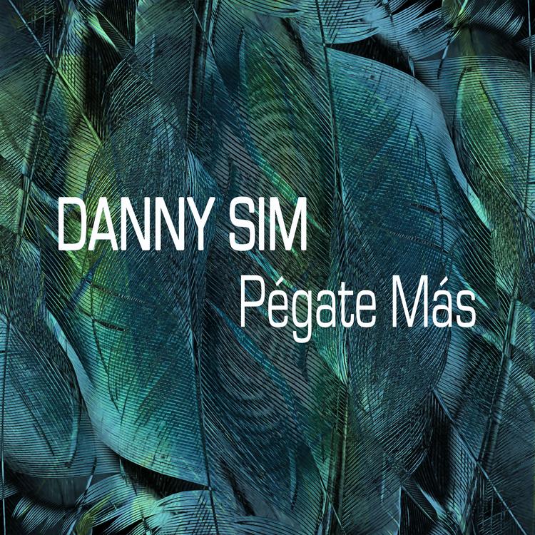 Danny Sim's avatar image