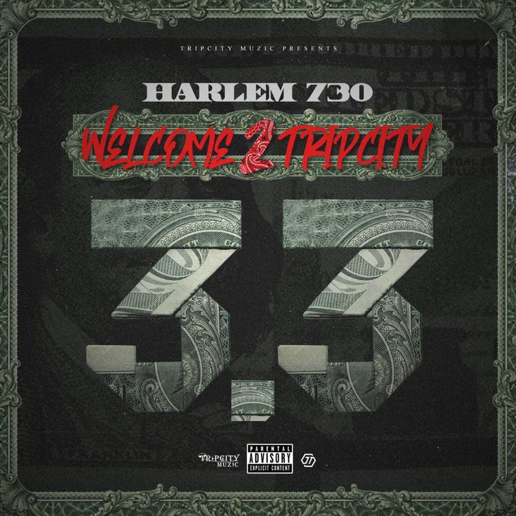 Harlem 730's avatar image