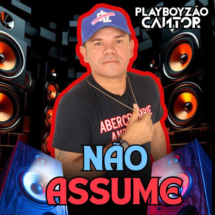 Playboyzão Cantor's avatar image