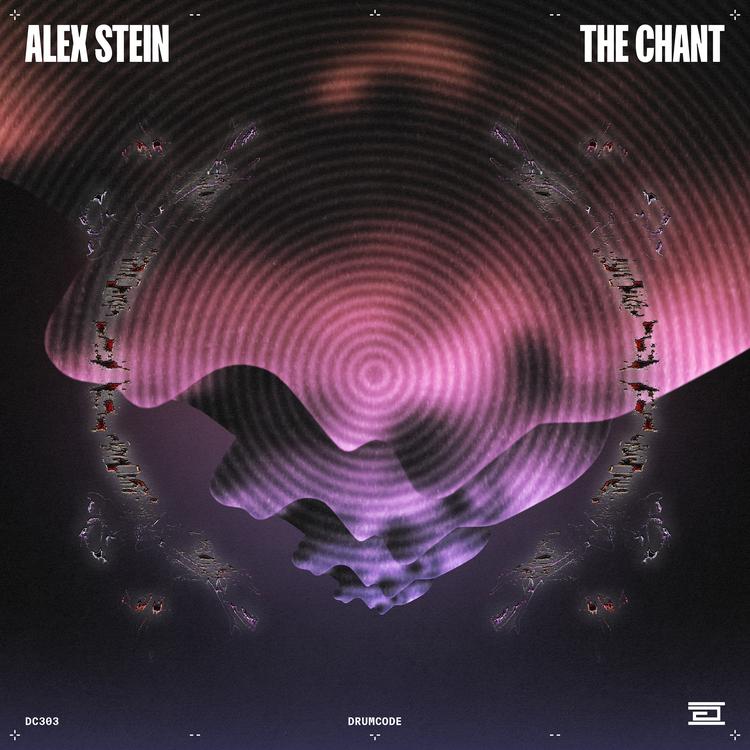 Alex Stein's avatar image