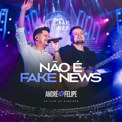 Não é Fake News (Ao Vivo) By André e Felipe's cover