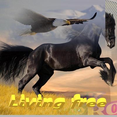 Living Free By GHANDER 5G PLUS's cover