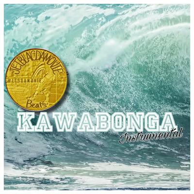 Kawabonga Instrumental's cover