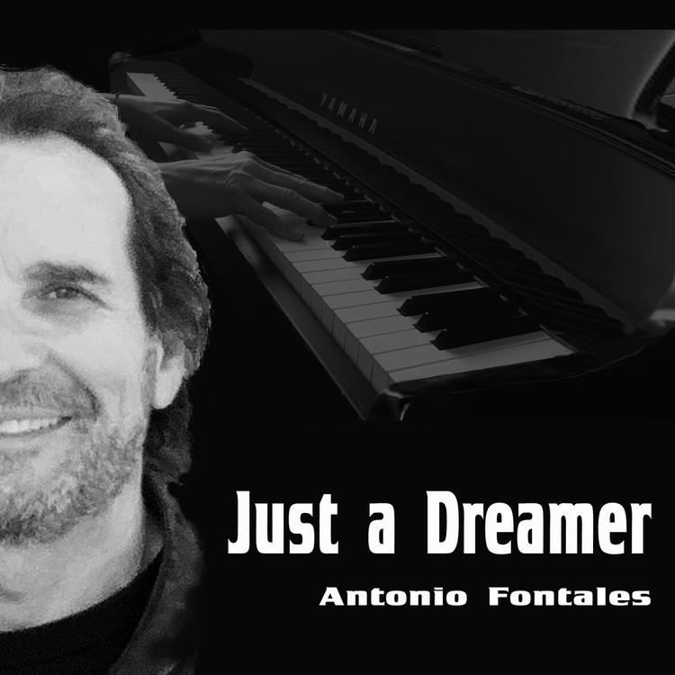 Antonio Fontales's avatar image