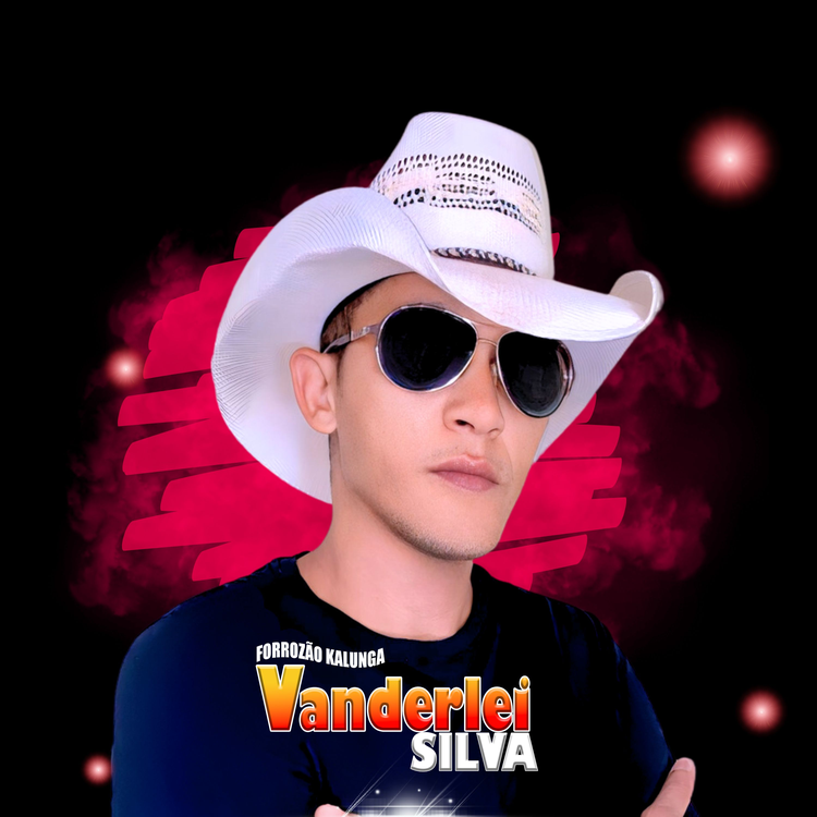 Vanderlei Silva Forrozão Kalunga's avatar image