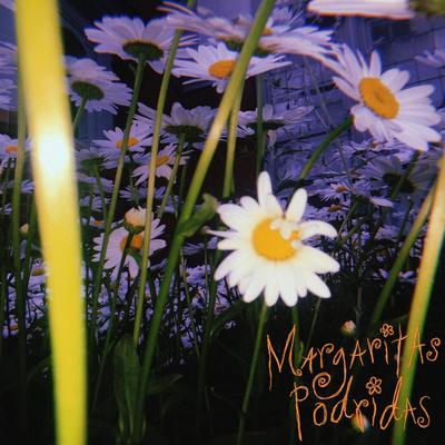 Margaritas By Margaritas Podridas's cover