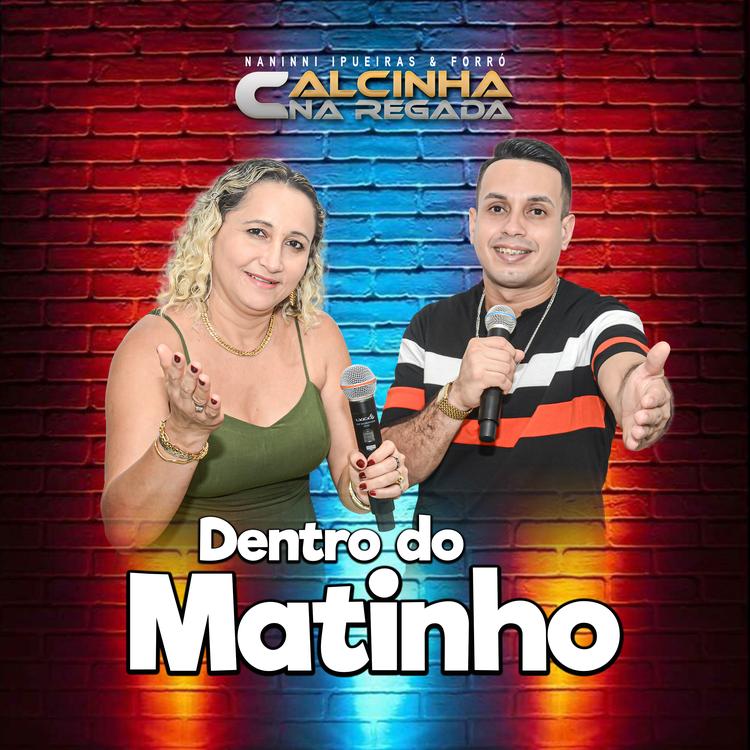 Naninni Ipueiras & Forró Calcinha na Regada's avatar image