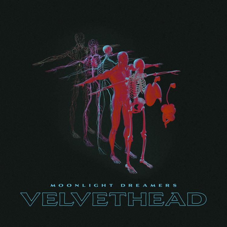 Velvethead's avatar image