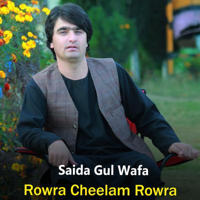 Saida Gul Wafa's cover