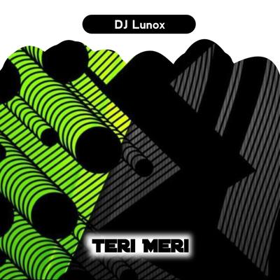 Teri Meri (Remix)'s cover