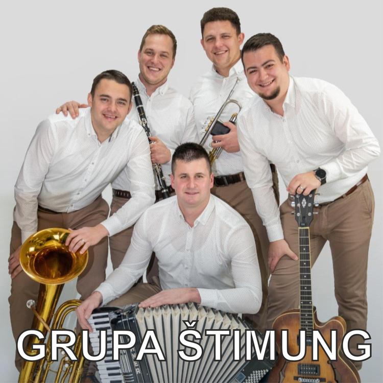 Grupa Štimung's avatar image