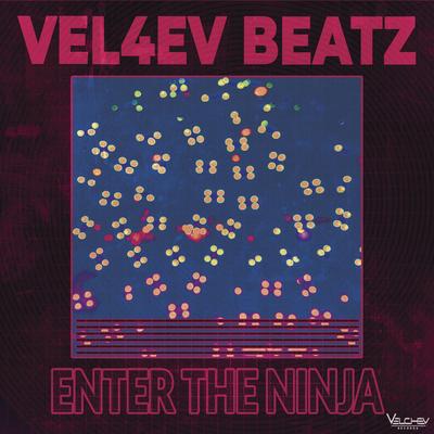 Enter the Ninja By Vel4ev Beatz's cover