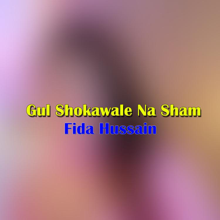 Fida Hussain's avatar image