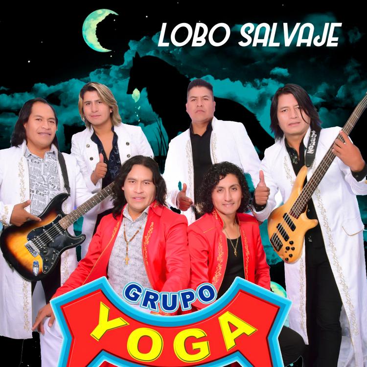 Grupo Yoga's avatar image