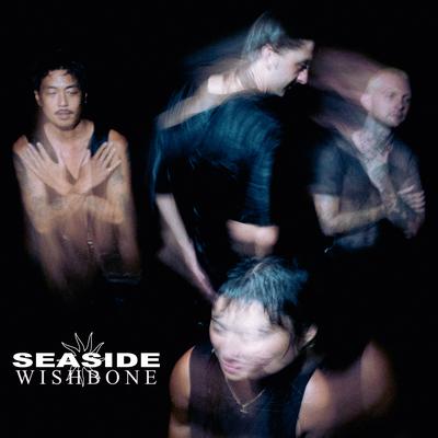 Seaside's cover