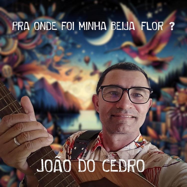 João do Cedro's avatar image