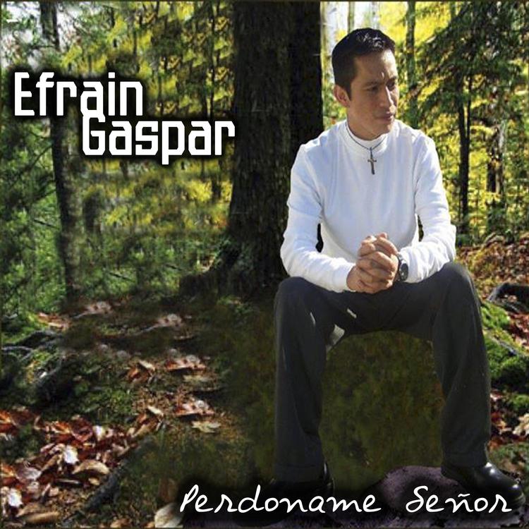 Efrain Gaspar's avatar image