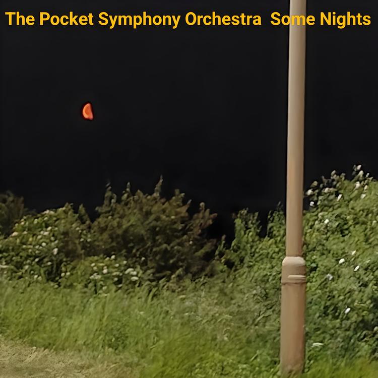 The Pocket Symphony Orchestra's avatar image